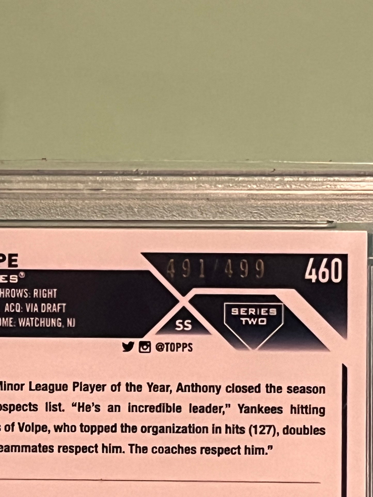 2023 Topps Baseball Anthony Volpe Green Foil/499 RC Rookie PSA 10 #460 Yankees